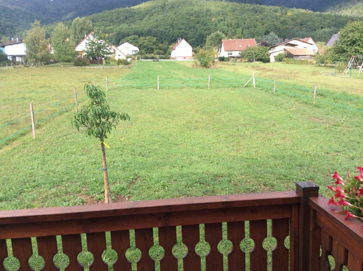 Chalet Colline Et Lou Wintzfelden Exterior photo